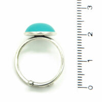 Shine Ring 01