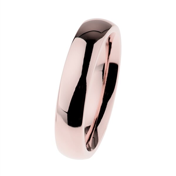 ERNSTES DESIGN Edelstahlring R532 59